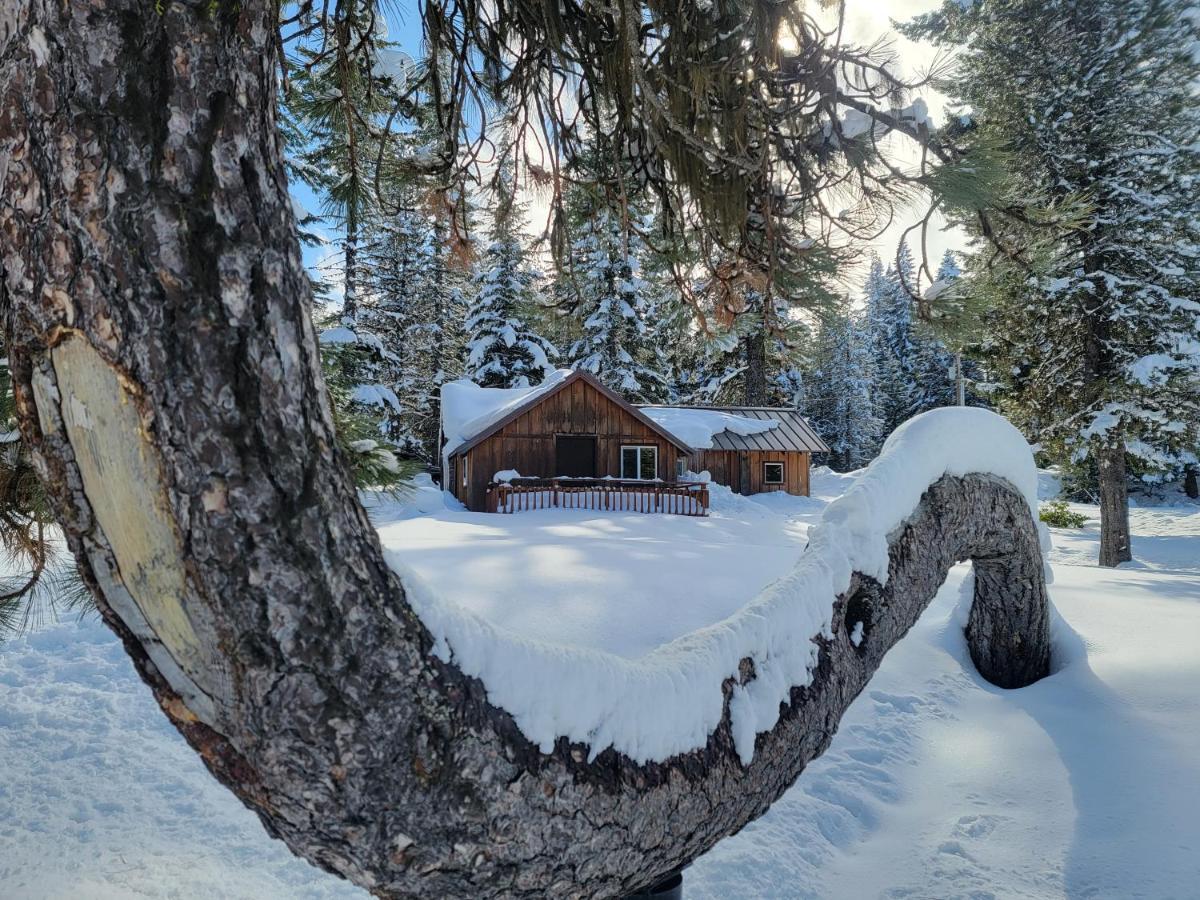 Cooper Spur Mountain Resort Mount Hood Zewnętrze zdjęcie